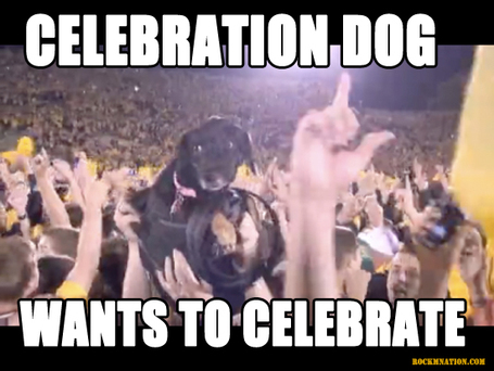 Celebration_dog_medium