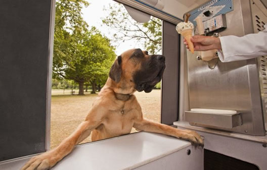 dog-ice-cream-truck-2.jpg