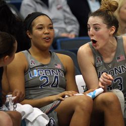 Temple Owls vs UConn Women’s Basketball
