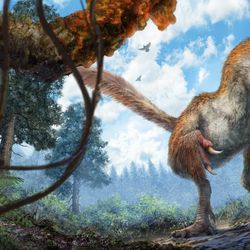 This artist’s rendering shows the little coelurosaur underneath a branch dripping resin.