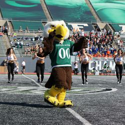 And Swoop trying to steal the show.<br>