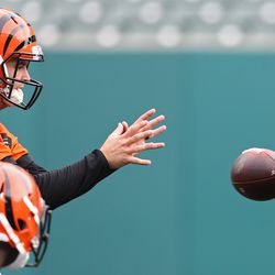 Cincinnati Bengals quarterback AJ McCarron (5) runs drills during minicamp at Paul Brown Stadium. 