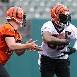 Cincinnati Bengals quarterback Andy Dalton (14) hands the ball off to running back Jeremy Hill (32) as they run drills during minicamp at Paul Brown Stadium.