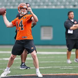 Cincinnati Bengals quarterback Andy Dalton (14) runs drills during minicamp at Paul Brown Stadium.