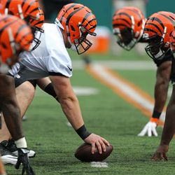 The Cincinnati Bengals offensive and defensive lines matchup during minicamp.