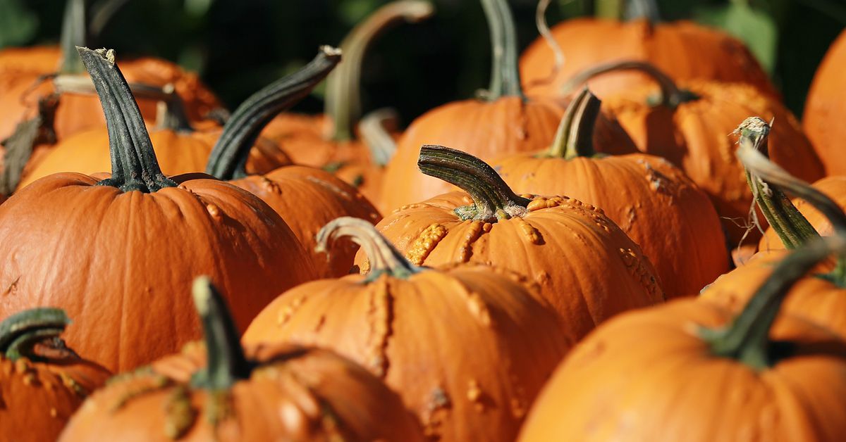 7 pumpkin patches near New Orleans, mapped - Curbed New ...
