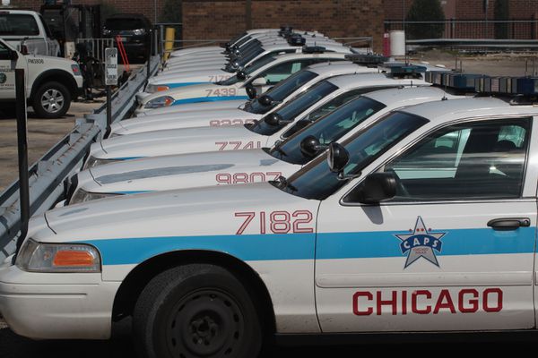Cop cars, in Chicago