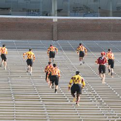 NCSU at FSU: When your fan level requires pregame stadium sprints. 