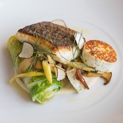 Striped bass with beans, cabbage, and truffle at Mooncusser Fish House