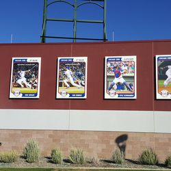 Cubs player baseball “cards” on the outer wall of Sloan Park