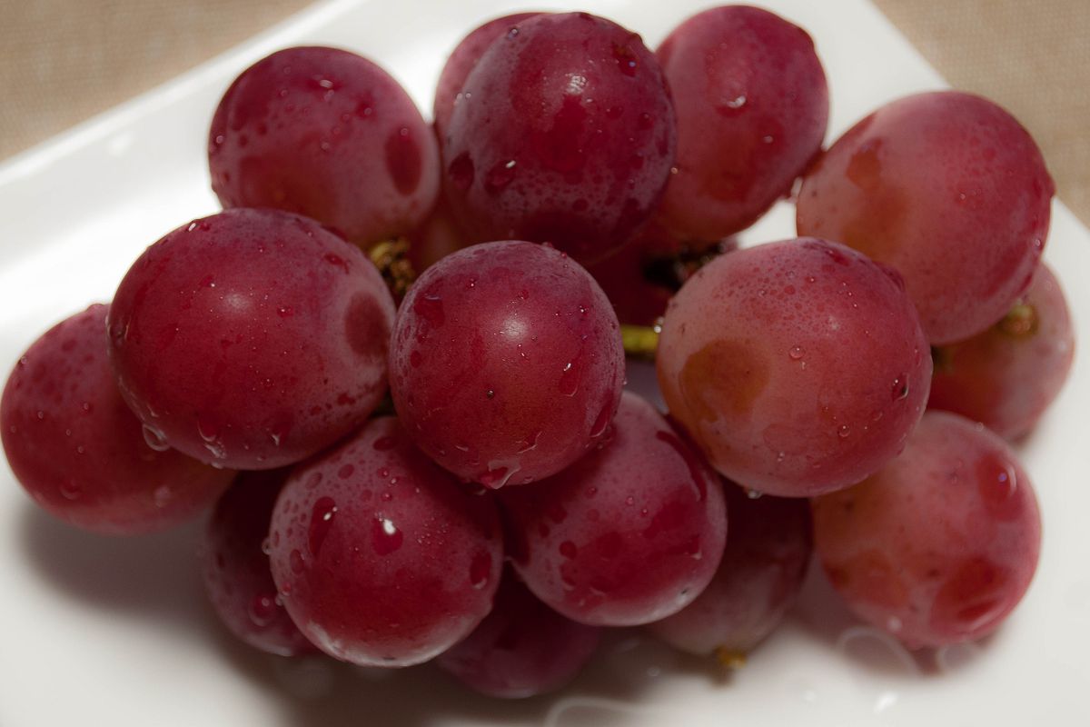 RARE JAPAN vitis vinifera table grapes RUBY ROMAN 10 seeds