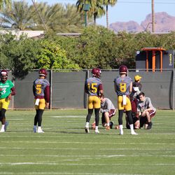 Bryce Perkins (far left) Manny Wilkins (number five) Dillon Sterling-Cole (number 15) Blake Barnett (number eight)