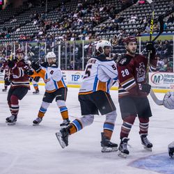 Bunting and Downing attempt to create a screen in front of the Gulls’ goaltender