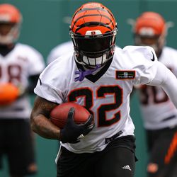 Cincinnati Bengals running back Jeremy Hill (32) runs with the ball during minicamp at Paul Brown Stadium. 