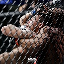 Demetrious Johnson battles Ray Borg at UFC 216.