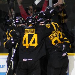Providence Bruins vs. Wilkes-Barre Scranton Penguins - Calder Cup Playoffs