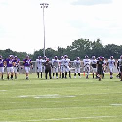 Minnesota Vikings Training Camp, July 30, 2017