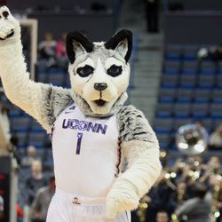 UConn Huskies mascot 