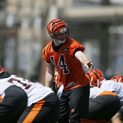 Andy Dalton (14) calls a play at the line during the Week 2 OTAs.