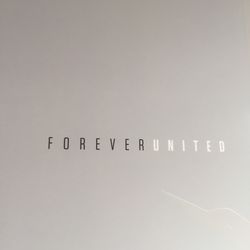 After pulling back a magnetic tab, “Forever United” greets you inside the front cover of the packaging. And yes, that is another glossy embossed Loon. Gorgeous.