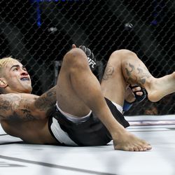 Godofredo Pepey is knocked down again at UFC on FOX 25.
