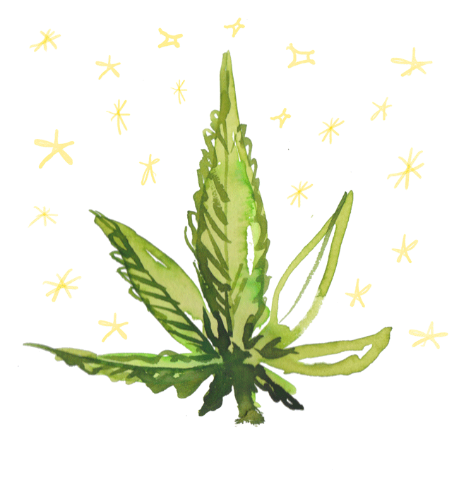 sparkle pot leaf illo