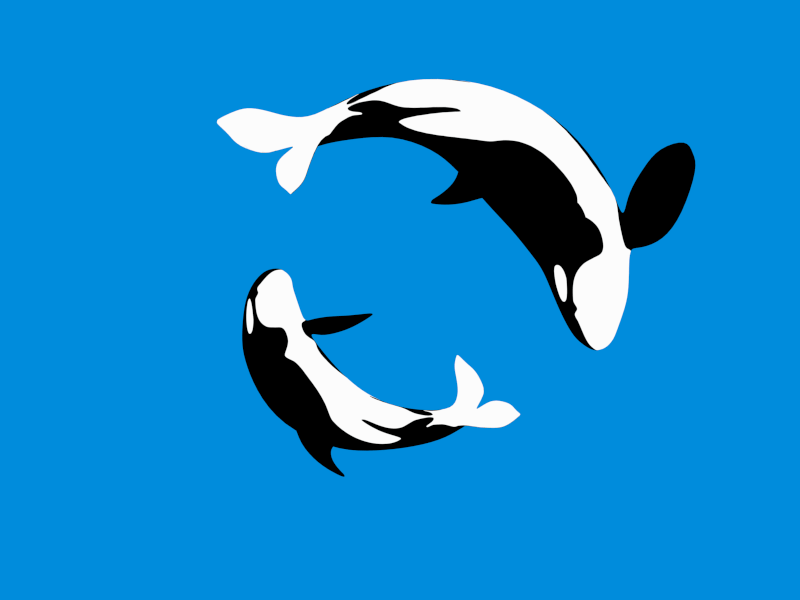 orca loop gif
