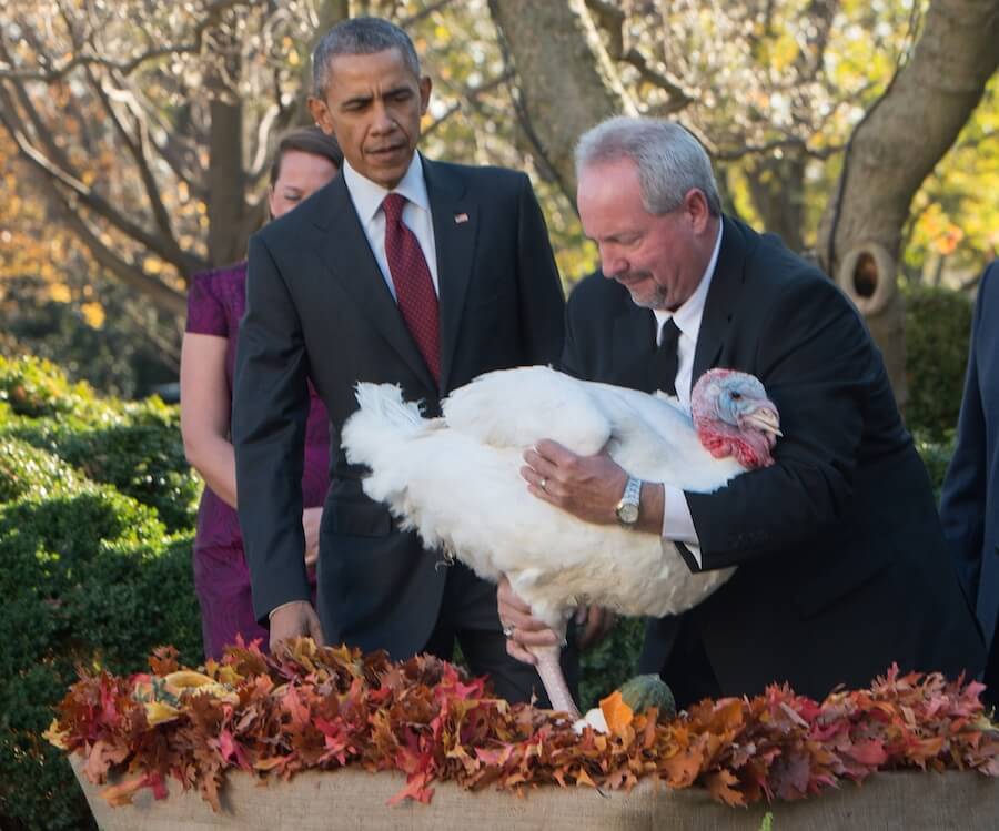 Literally no one in this photo is happy: President Obama, the staffer or the turkey.