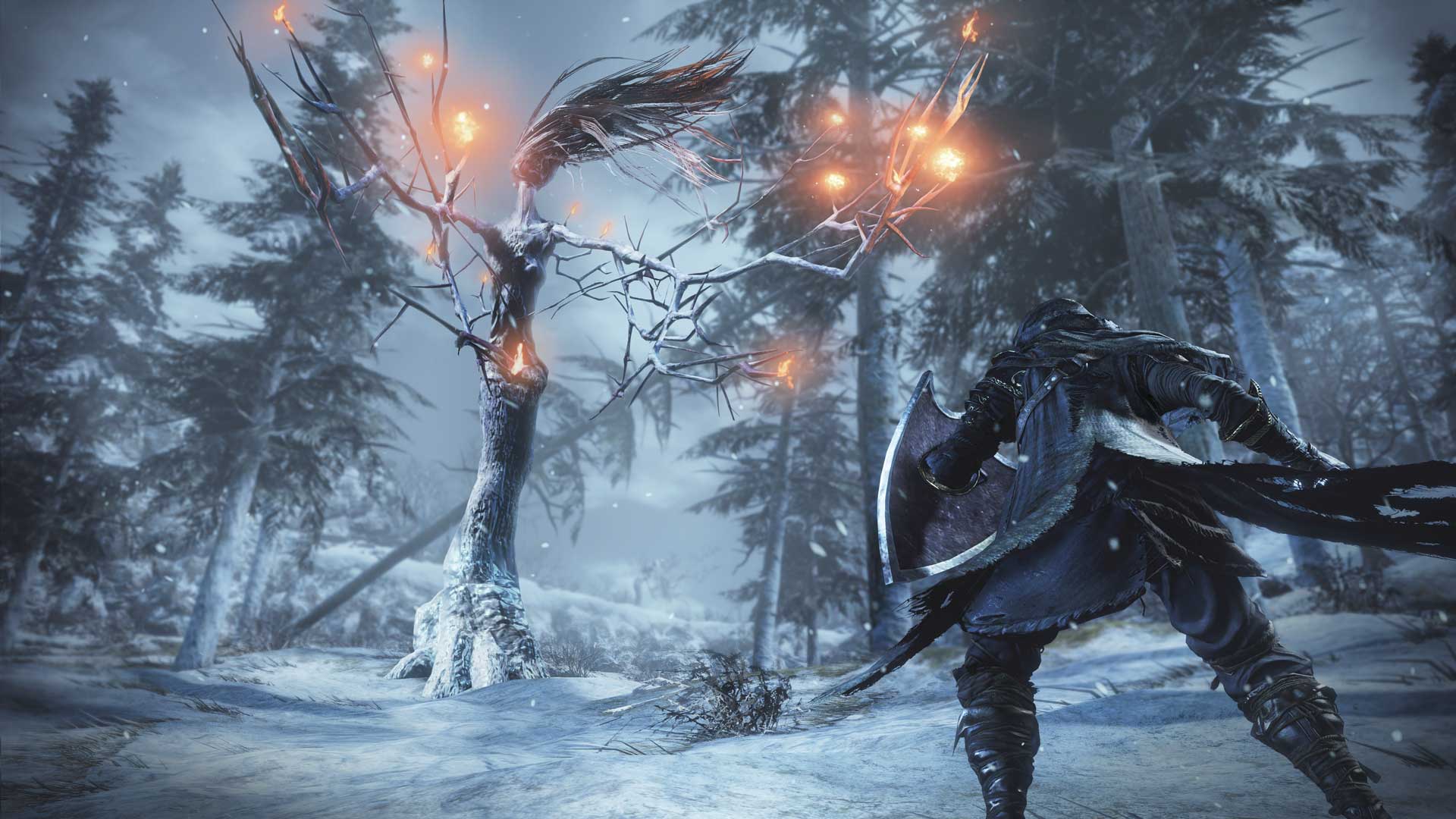 Ashes of Ariandel